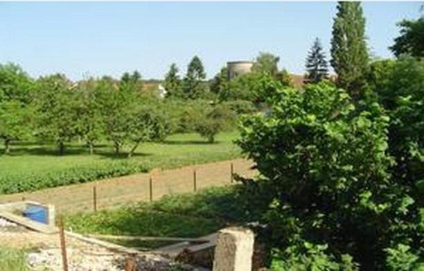 Le Verger Des Hautes-Cotes De Nuits Villers-la-Faye Buitenkant foto