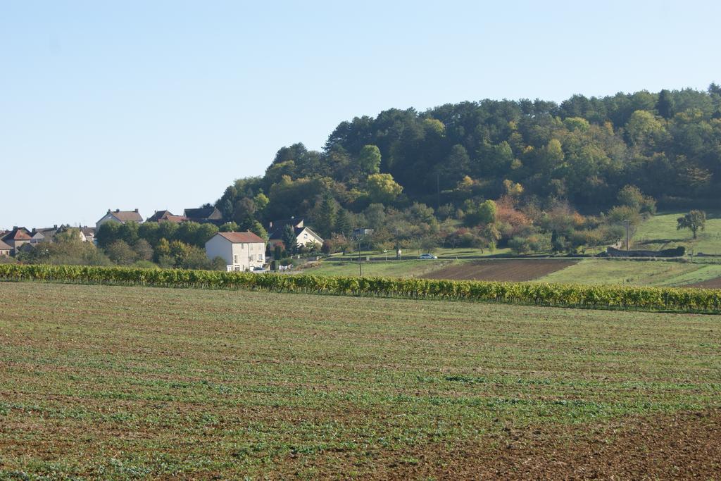 Le Verger Des Hautes-Cotes De Nuits Villers-la-Faye Buitenkant foto